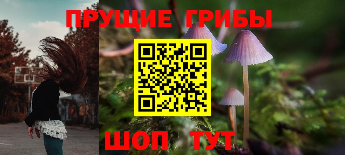 Псилоцибиновые грибы Psilocybe  Вход с VPN  Галлюциногенные грибы GOLDEN TEACHER  Каспийск 