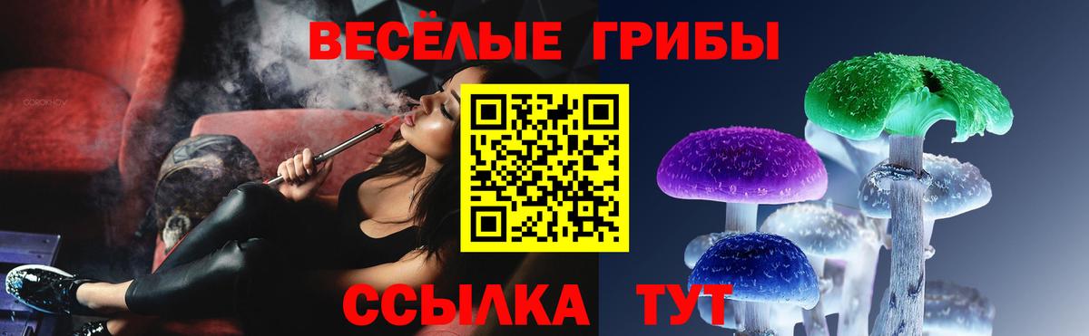 Галлюциногенные грибы Psilocybe Каспийск